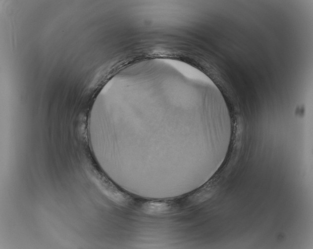X0000111510361200908251119