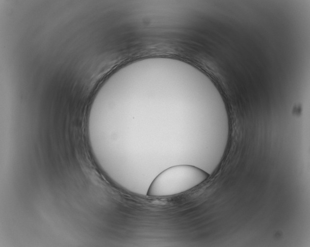 X0000111510362200908251119