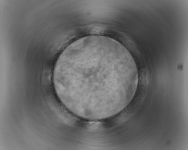 X0000111510363200908251119