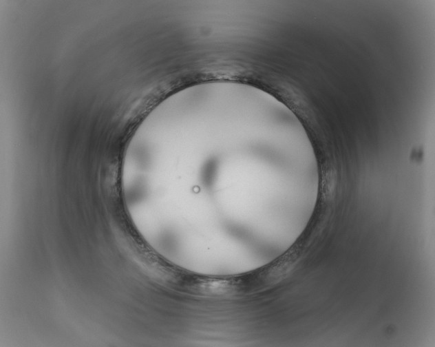 X0000111510365200908251119
