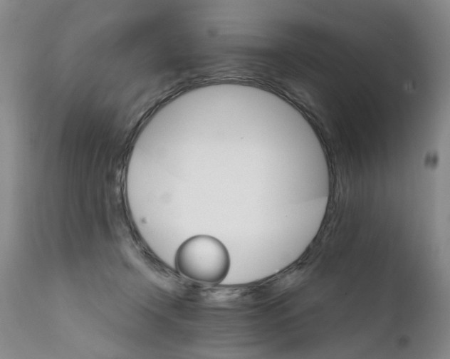 X0000111510366200908251119