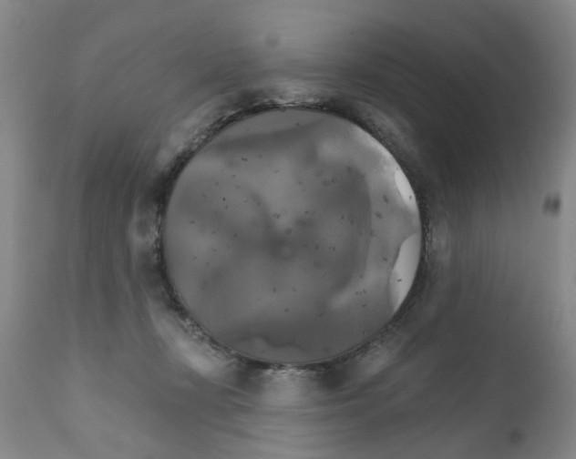 X0000111510367200908251119