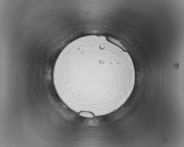 X0000111510368200908251119