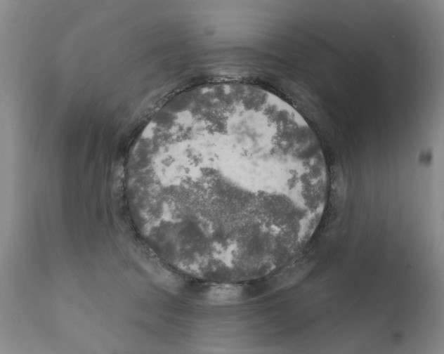 X0000111510369200908251119