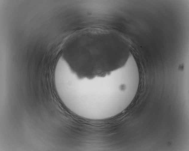 X0000111510371200908251119