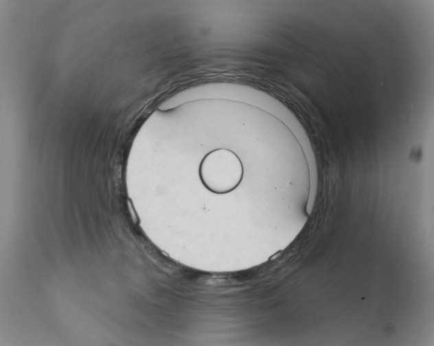 X0000111510372200908251119
