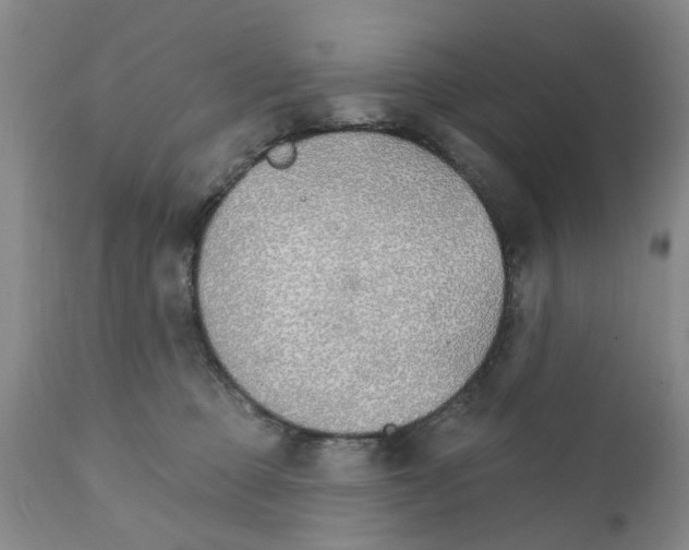 X0000111510373200908251119