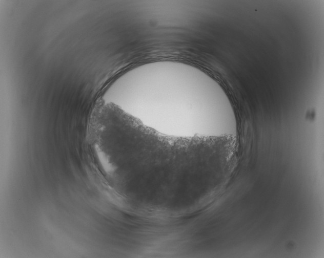 X0000111510374200908251119