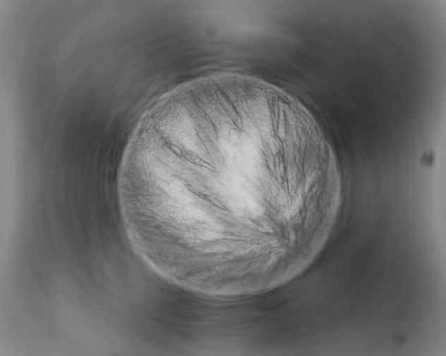 X0000111510375200908251119