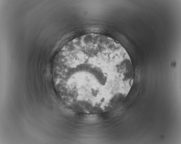 X0000111510377200908251119
