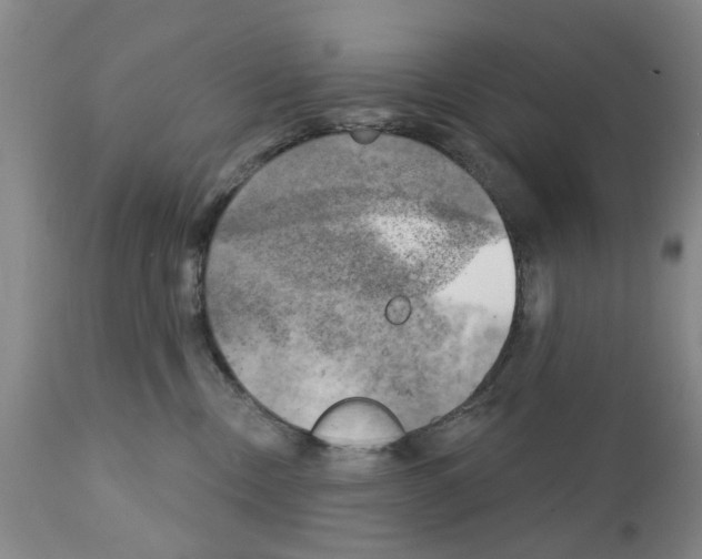 X0000111510378200908251119