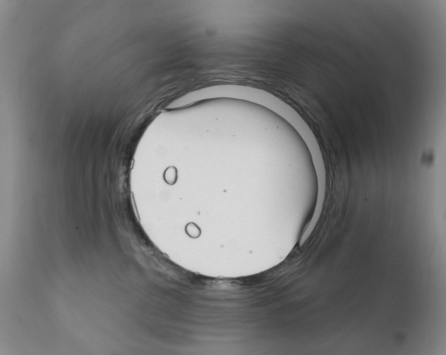 X0000111510380200908251119