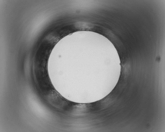 X0000111510381200908251119