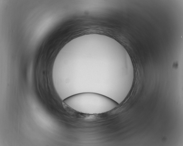 X0000111510382200908251119