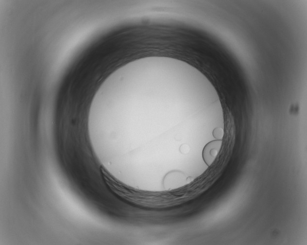 X0000111510383200908251119