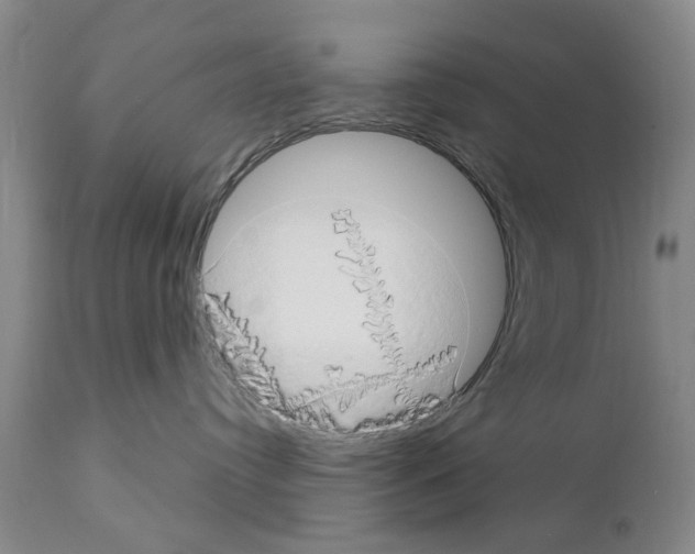 X0000111510384200908251119