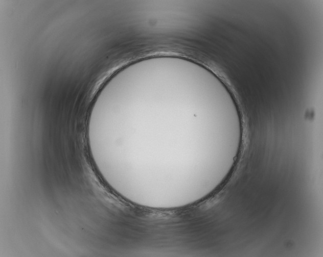 X0000111510386200908251118