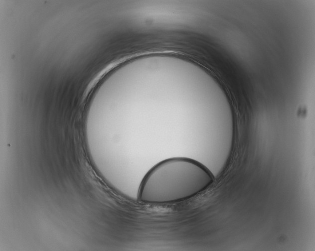 X0000111510387200908251118