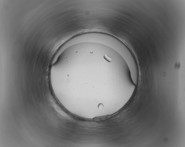 X0000111510389200908251118