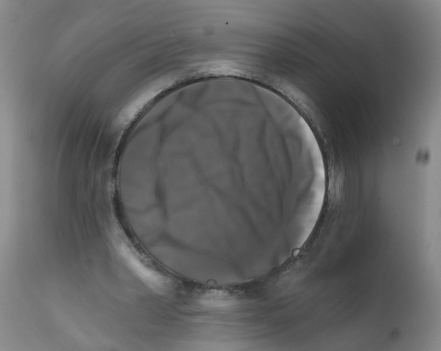 X0000111510390200908251118