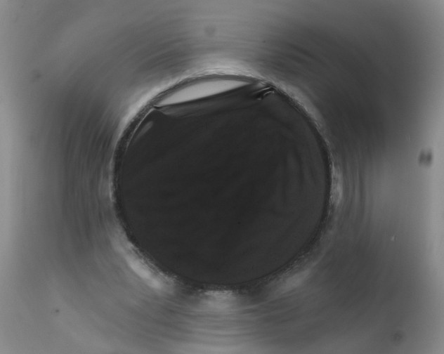 X0000111510391200908251118