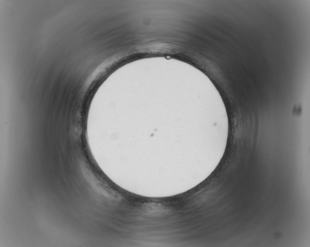 X0000111510392200908251118