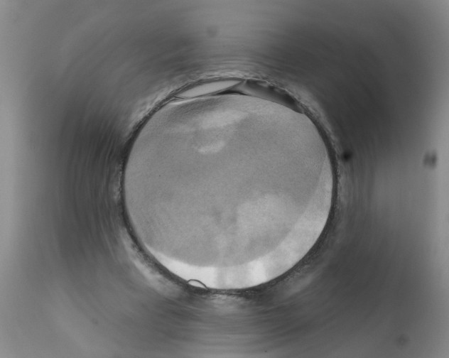 X0000111510393200908251118