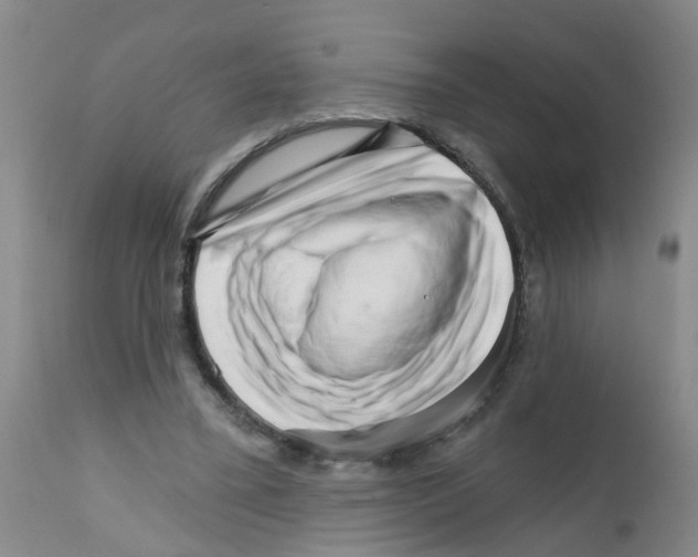 X0000111510395200908251118