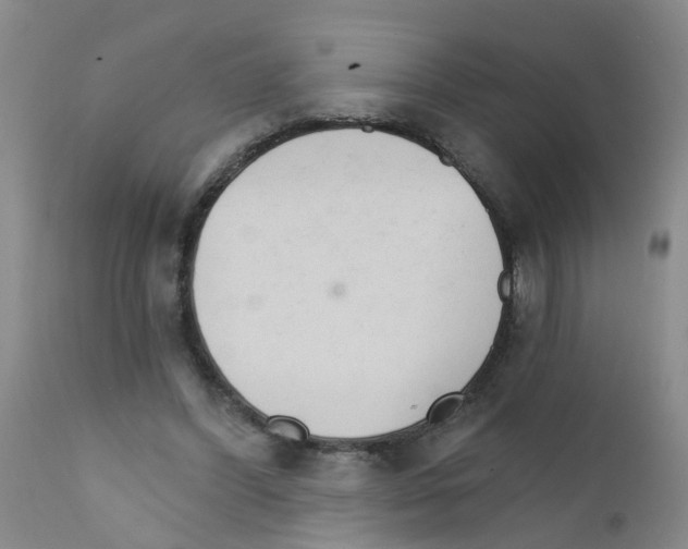 X0000111510396200908251118