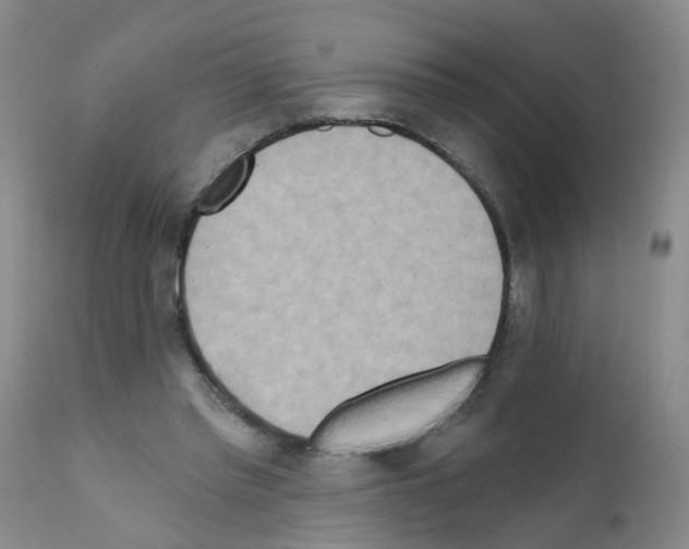 X0000111510397200908251118