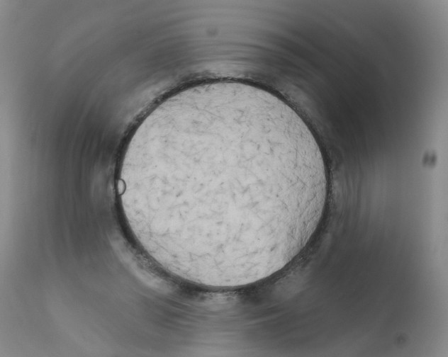 X0000111510398200908251118