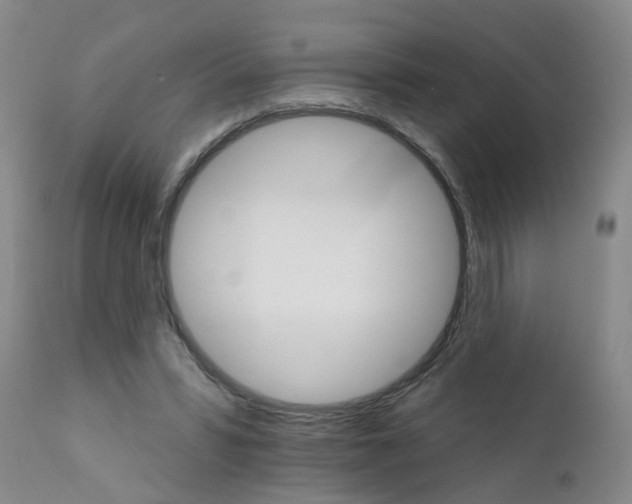 X0000111510399200908251118