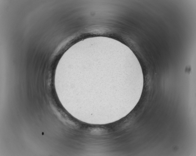 X0000111510400200908251118