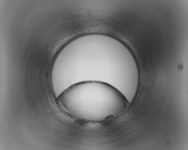 X0000111510403200908251118