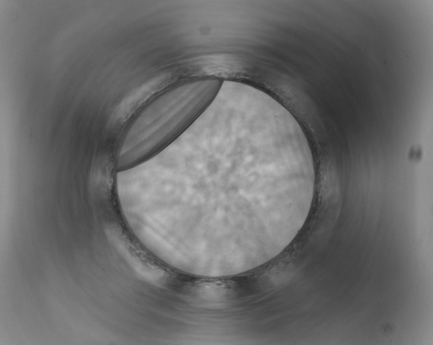 X0000111510405200908251118
