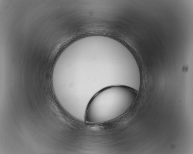 X0000111510407200908251118