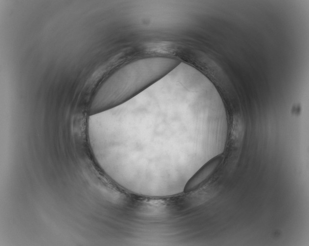X0000111510409200908251118
