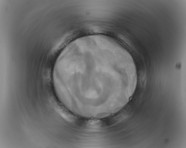 X0000111510410200908251118