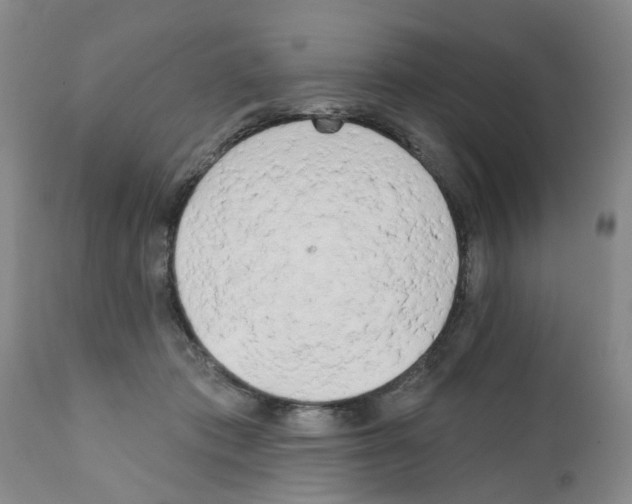 X0000111510413200908251118