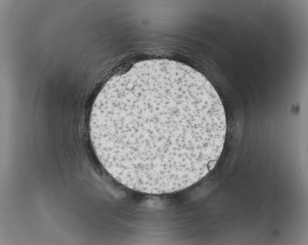 X0000111510416200908251118