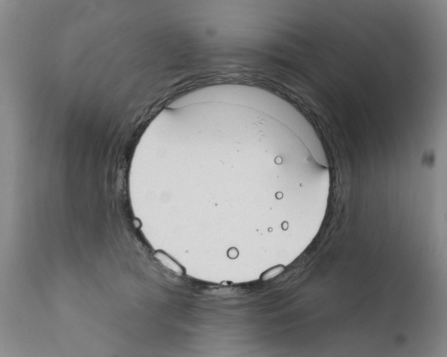 X0000111510417200908251118