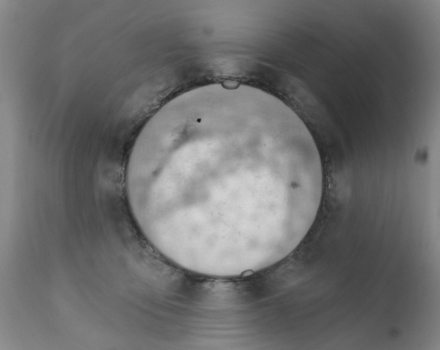 X0000111510419200908251118