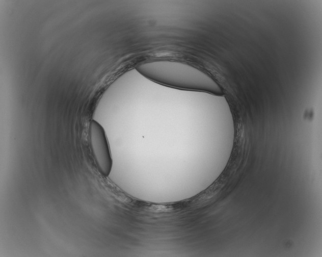 X0000111510421200908251118