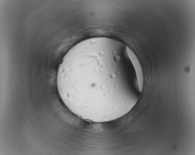 X0000111510423200908251117