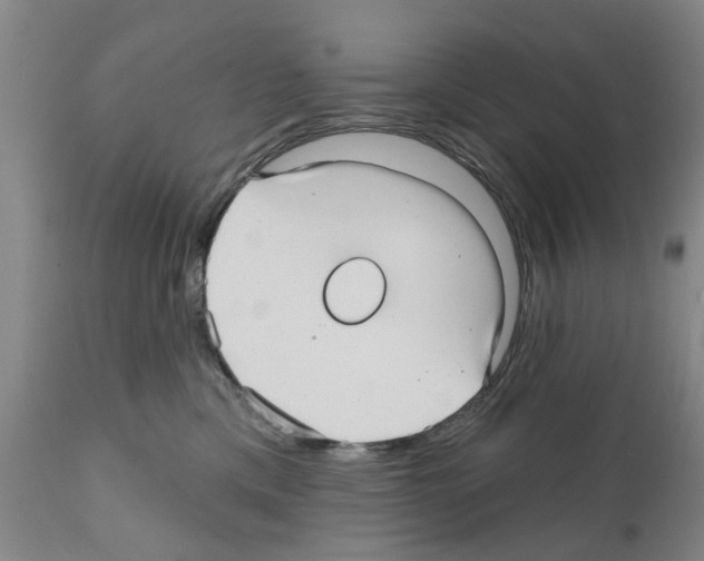 X0000111510425200908251117