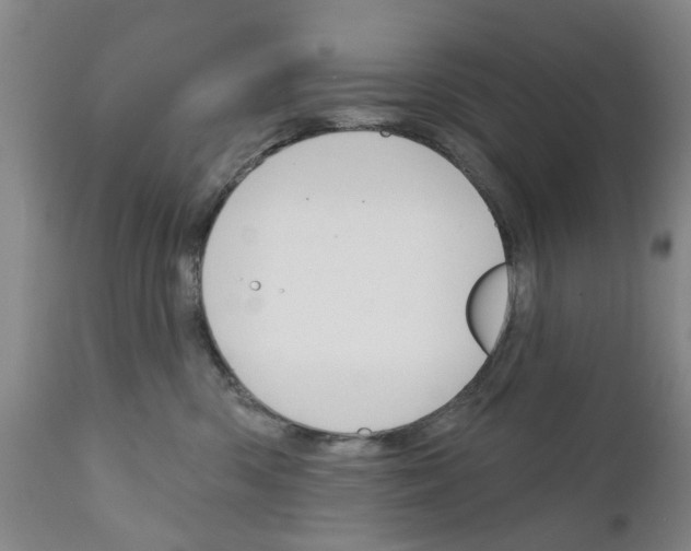 X0000111510426200908251117