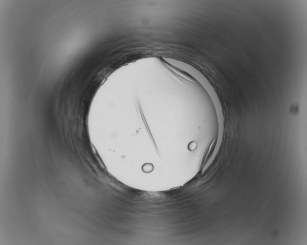 X0000111510429200908251117