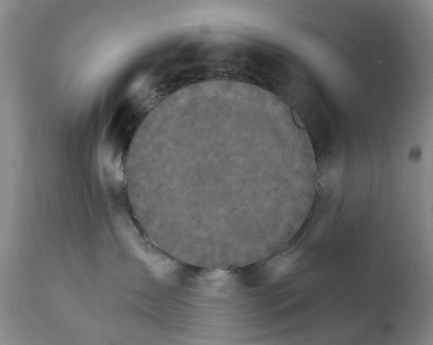 X0000111510431200908251117