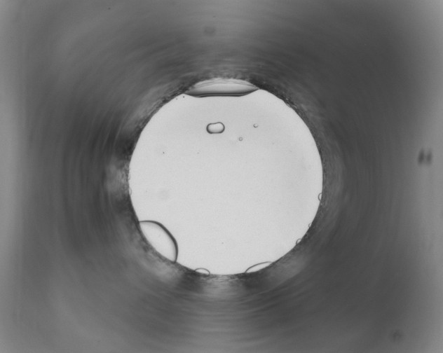 X0000111510432200908251117