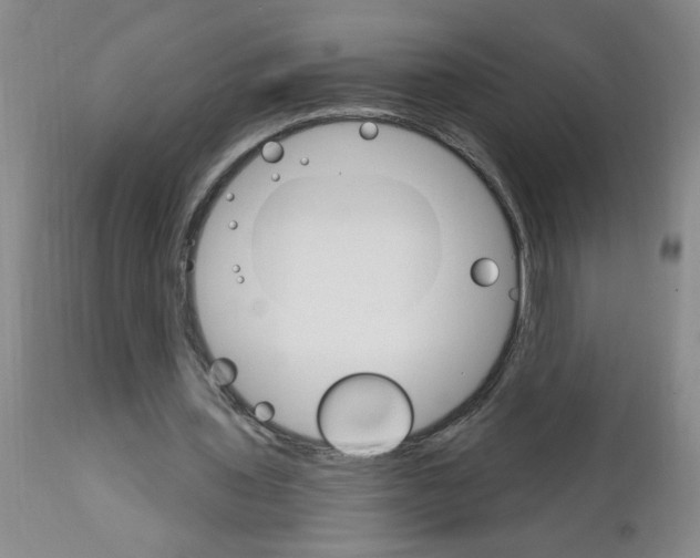 X0000111510435200908251117
